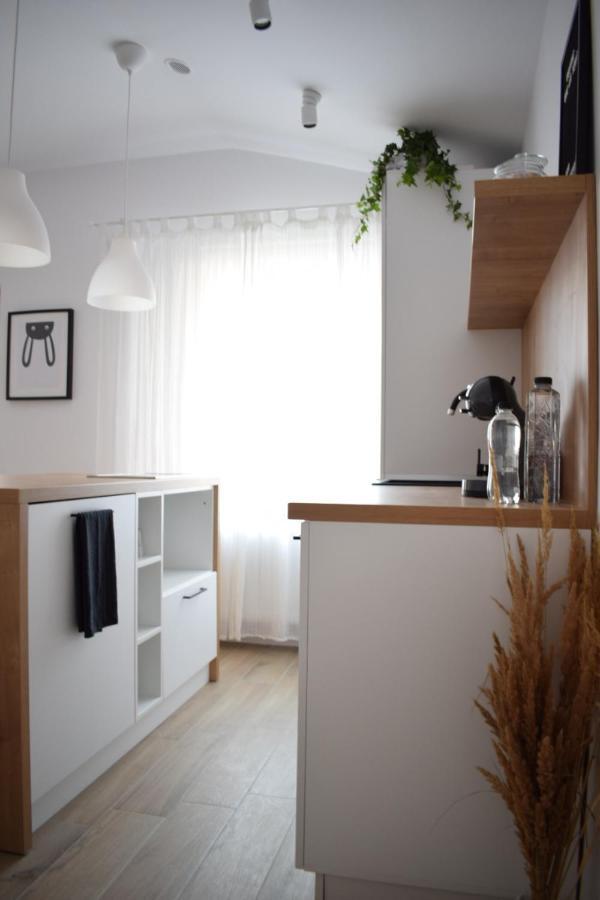 Voya Nordic Apartment-A Luxury Oasis In The Old Town Braszów Zewnętrze zdjęcie